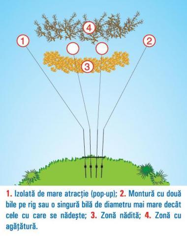 Interesante :) - amplasamentmonturicrap5ab6342.jpg